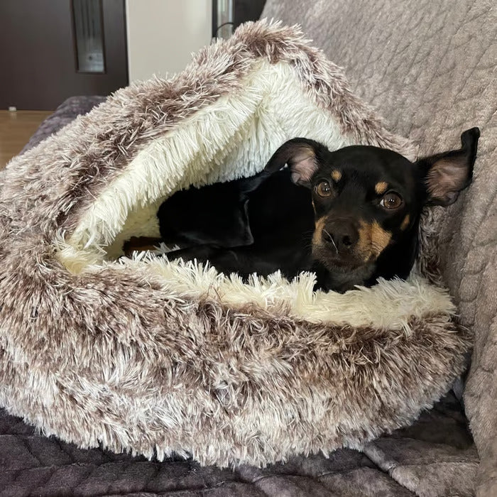 🔥Comfy Hood Pet Bed (🎉✨ Today Free Shipping ✨🎉)